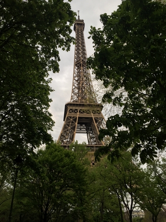 Eiffel tower in the trees