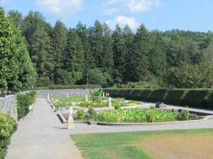 the garden