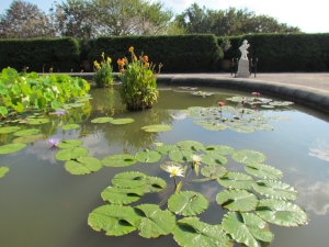 pond