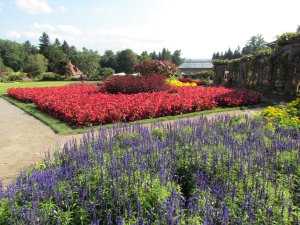 purple & red