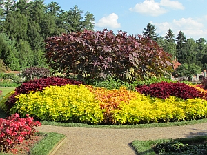 round planting