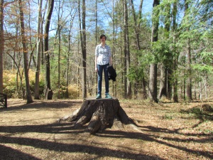 Sophie on a stump