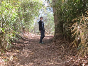 Sophie on the trail