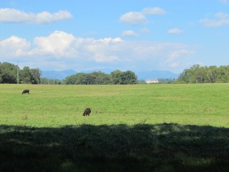 house in distance