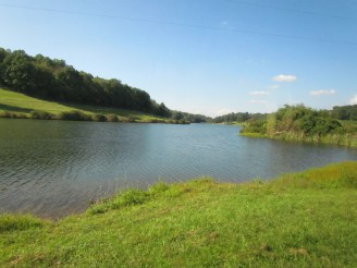 lake & trees