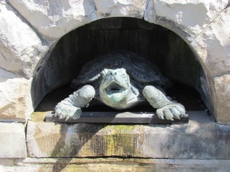 turtle