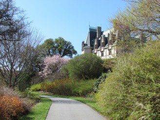 view of house form Shrub Garden