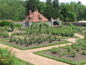 rose garden