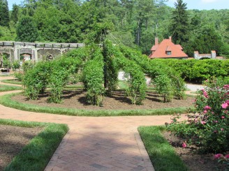 rose garden (left side)