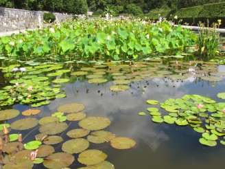 Italian garden