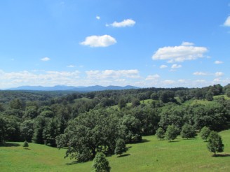 view trees and mountains