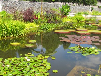 Italian garden