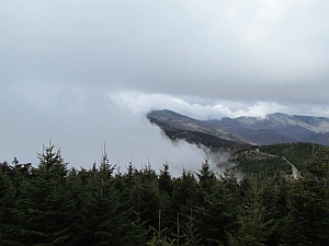 clouds at Mt. Mitchell