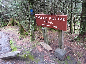 Balsam trail sign
