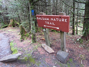 trail sign