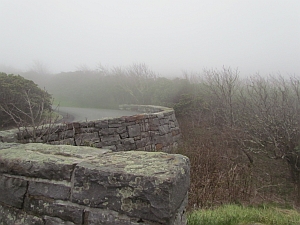 craggy gardens