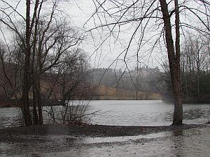 Biltmore in the rain