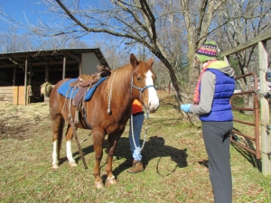 Adding the saddle
