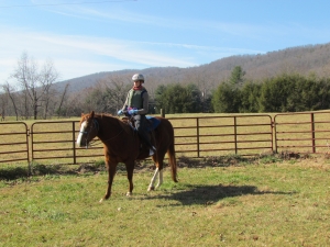 Sophie riding