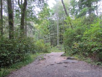trail