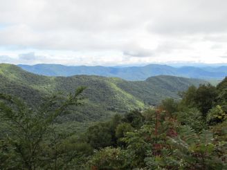 another Lane Pinnacle view