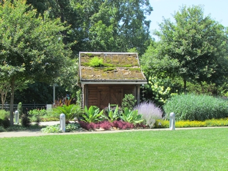 plants at little building