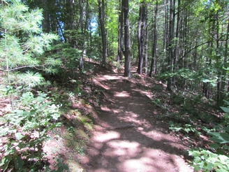 Sophie on trail