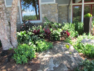 plants at entrance