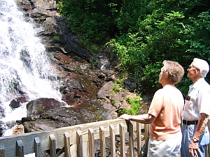 at the falls