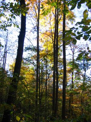 fall hike