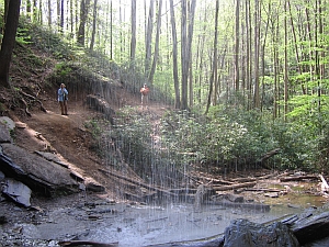 Moore Cove Falls