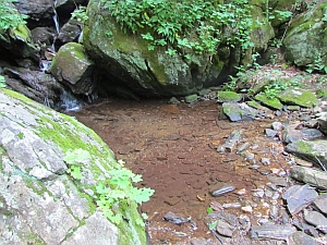 pool at favorite stream