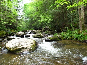 creek