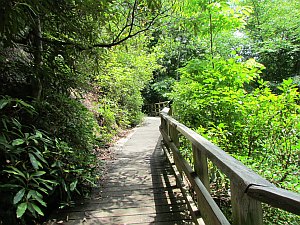boardwalk