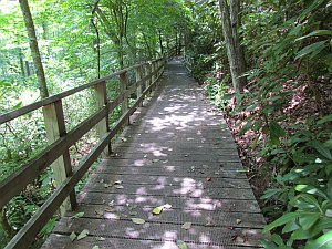 more boardwalk