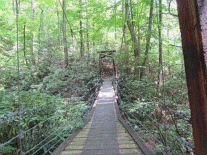 swinging bridge