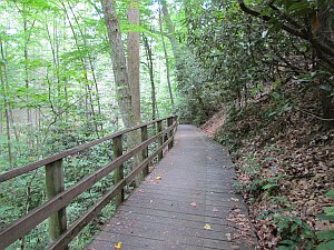 another boardwalk