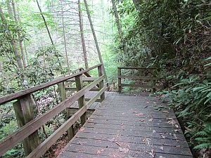 more boardwalk