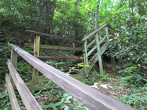 steps and railing