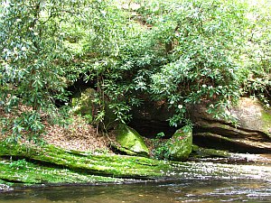 along the river