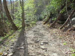 trail