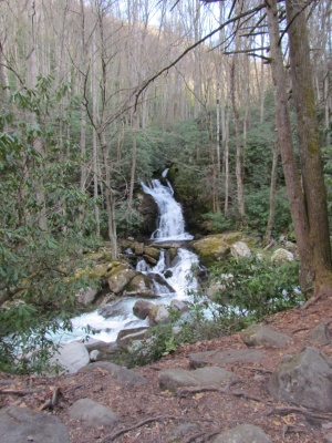 Mouse creek falls