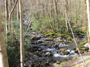 Porters creek