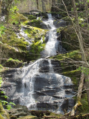 Parsons Creek Falls