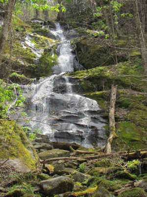 Porters Creek Falls