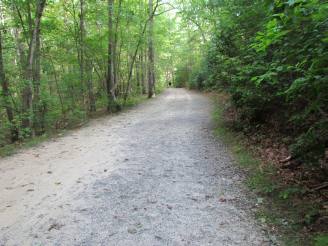 Sophie on trail