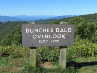 Bunches Bald sign