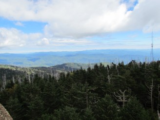 tower view