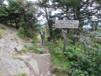 Annie on the trail