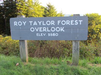 Roy Taylor Forest overlook